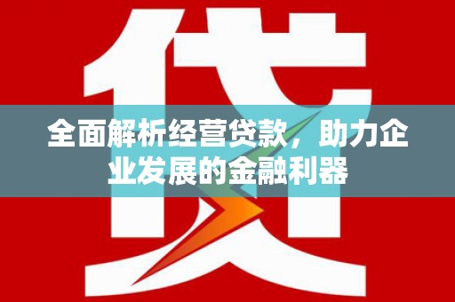甘泉全面解析经营贷款，助力企业发展的金融利器