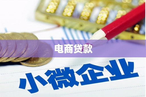 甘泉电商贷款