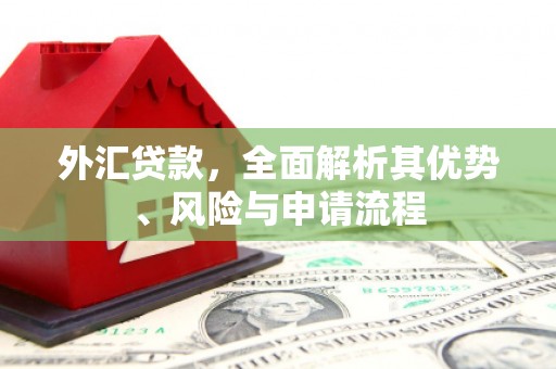 甘泉外汇贷款，全面解析其优势、风险与申请流程