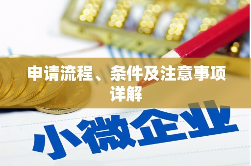 甘泉申请流程、条件及注意事项详解