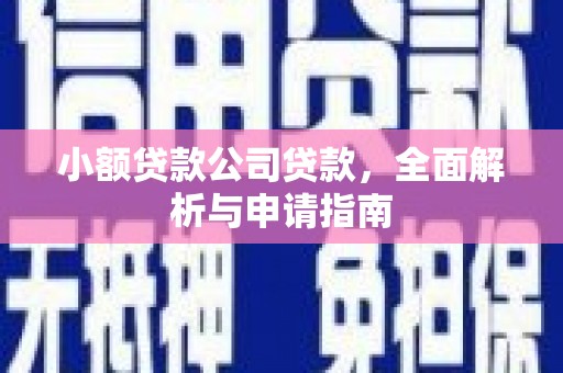 甘泉小额贷款公司贷款，全面解析与申请指南