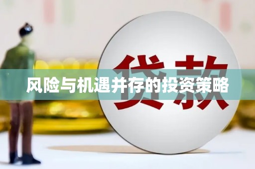 甘泉风险与机遇并存的投资策略