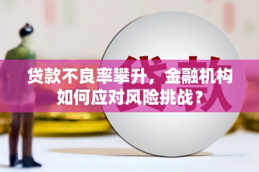 甘泉贷款不良率攀升，金融机构如何应对风险挑战？