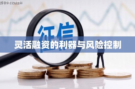 甘泉灵活融资的利器与风险控制