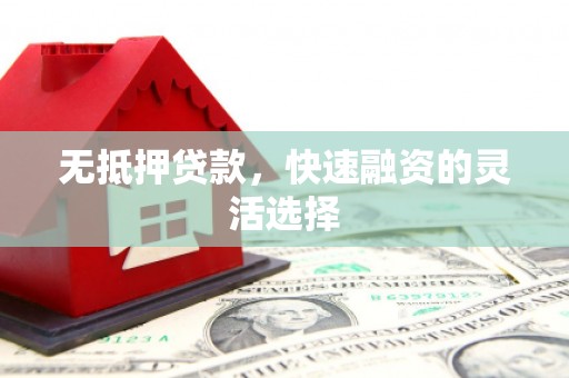 甘泉无抵押贷款，快速融资的灵活选择