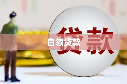 甘泉白领贷款
