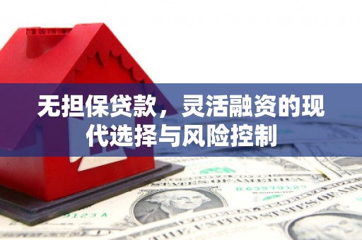 甘泉无担保贷款，灵活融资的现代选择与风险控制