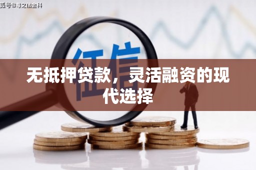 甘泉无抵押贷款，灵活融资的现代选择