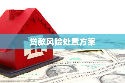 甘泉贷款风险处置方案