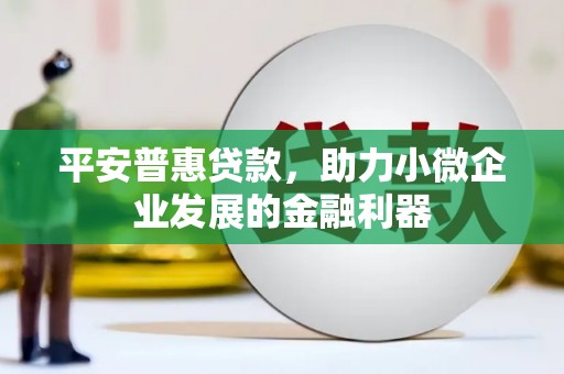 甘泉平安普惠贷款，助力小微企业发展的金融利器