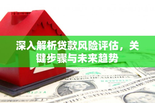 甘泉深入解析贷款风险评估，关键步骤与未来趋势