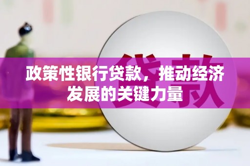 甘泉政策性银行贷款，推动经济发展的关键力量