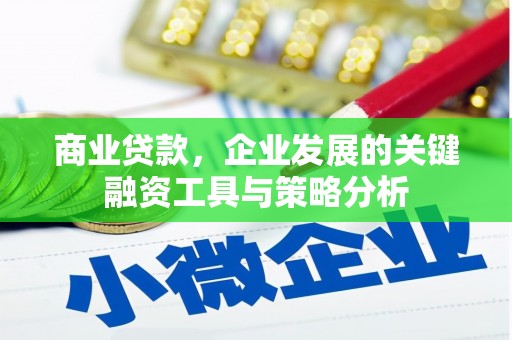 甘泉商业贷款，企业发展的关键融资工具与策略分析