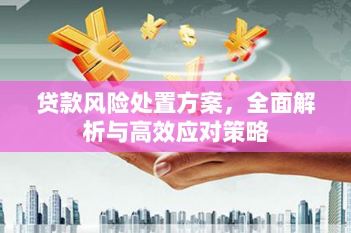 甘泉贷款风险处置方案，全面解析与高效应对策略