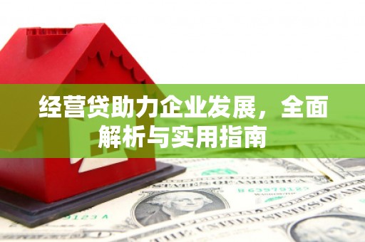 甘泉经营贷助力企业发展，全面解析与实用指南