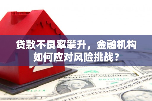 甘泉贷款不良率攀升，金融机构如何应对风险挑战？