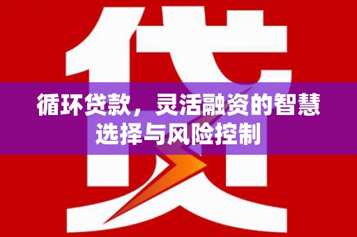 甘泉循环贷款，灵活融资的智慧选择与风险控制