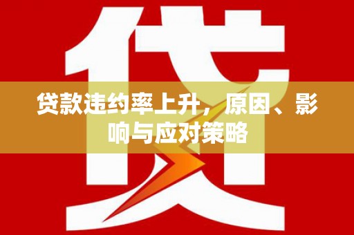 甘泉贷款违约率上升，原因、影响与应对策略