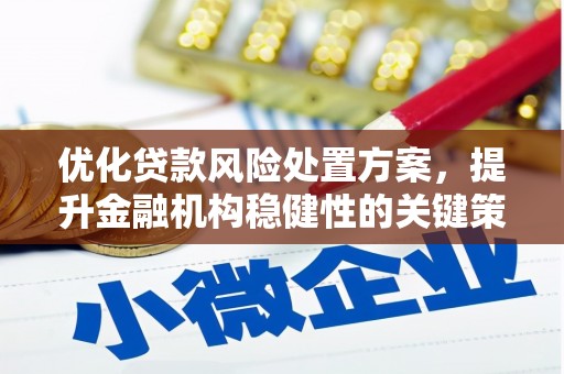 甘泉优化贷款风险处置方案，提升金融机构稳健性的关键策略