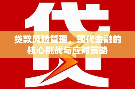 甘泉贷款风险管理，现代金融的核心挑战与应对策略
