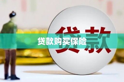 甘泉贷款购买保险