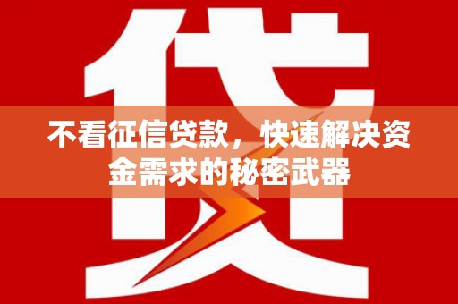 甘泉不看征信贷款，快速解决资金需求的秘密武器