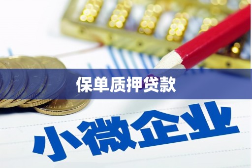 甘泉保单质押贷款