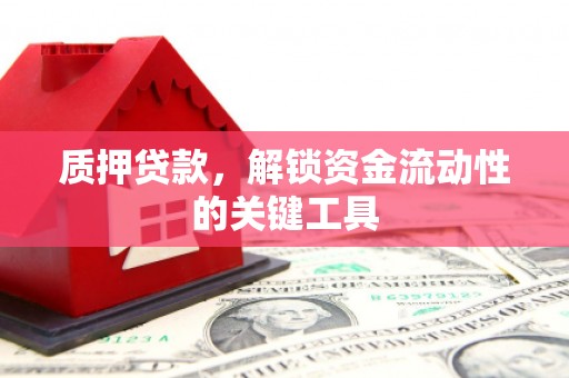 甘泉质押贷款，解锁资金流动性的关键工具