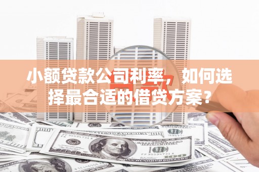 甘泉小额贷款公司利率，如何选择最合适的借贷方案？