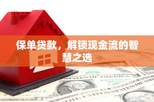 甘泉保单贷款，解锁现金流的智慧之选