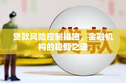 甘泉贷款风险控制措施，金融机构的稳健之道