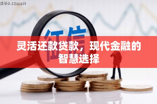 甘泉灵活还款贷款，现代金融的智慧选择