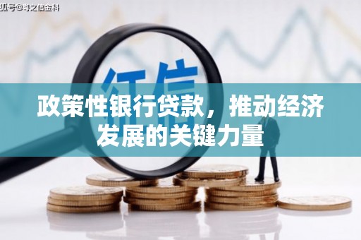 甘泉政策性银行贷款，推动经济发展的关键力量