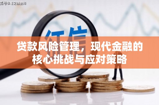 甘泉贷款风险管理，现代金融的核心挑战与应对策略