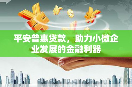 甘泉平安普惠贷款，助力小微企业发展的金融利器