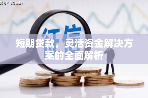 甘泉短期贷款，灵活资金解决方案的全面解析
