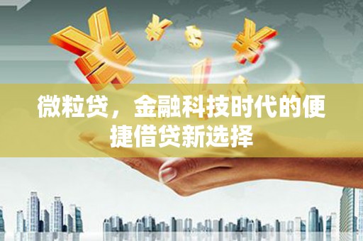 甘泉微粒贷，金融科技时代的便捷借贷新选择