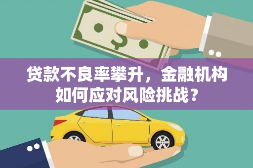 甘泉贷款不良率攀升，金融机构如何应对风险挑战？