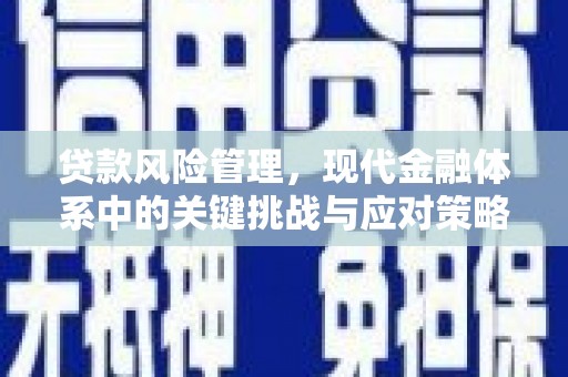 甘泉贷款风险管理，现代金融体系中的关键挑战与应对策略