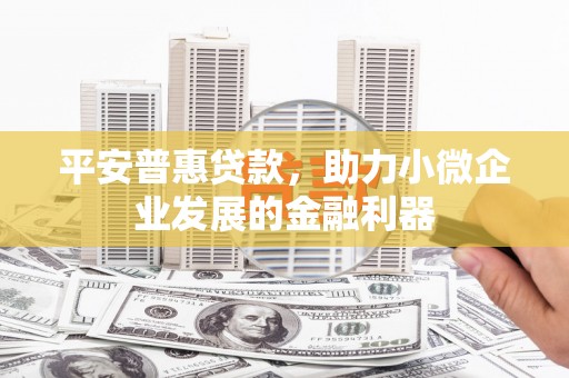 甘泉平安普惠贷款，助力小微企业发展的金融利器