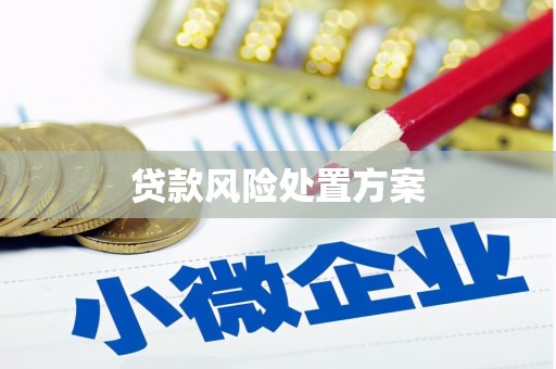 甘泉贷款风险处置方案