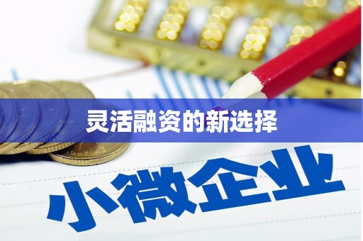 甘泉灵活融资的新选择