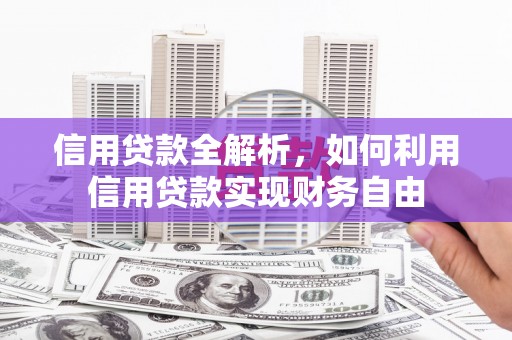 甘泉信用贷款全解析，如何利用信用贷款实现财务自由